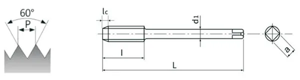 MG21-22150