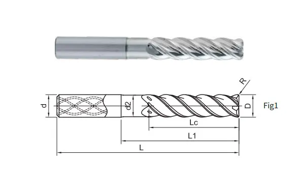 SA300-SF-IC-RN4-20030