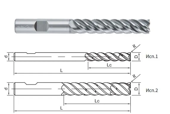 PP300-SPEED-5D-10052