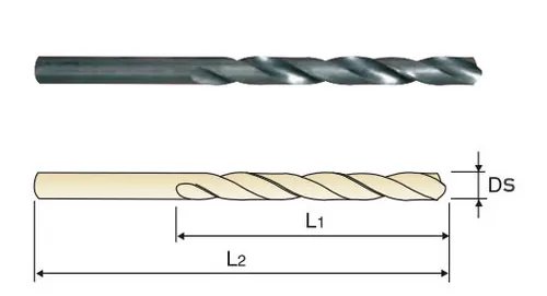 D11